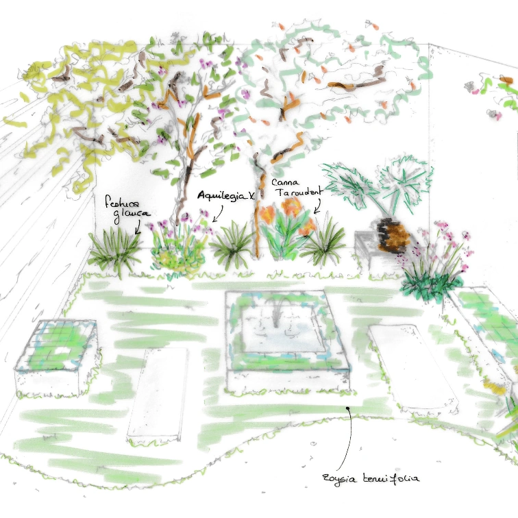 Esquisse d'un jardinet avec fontaine en Provence