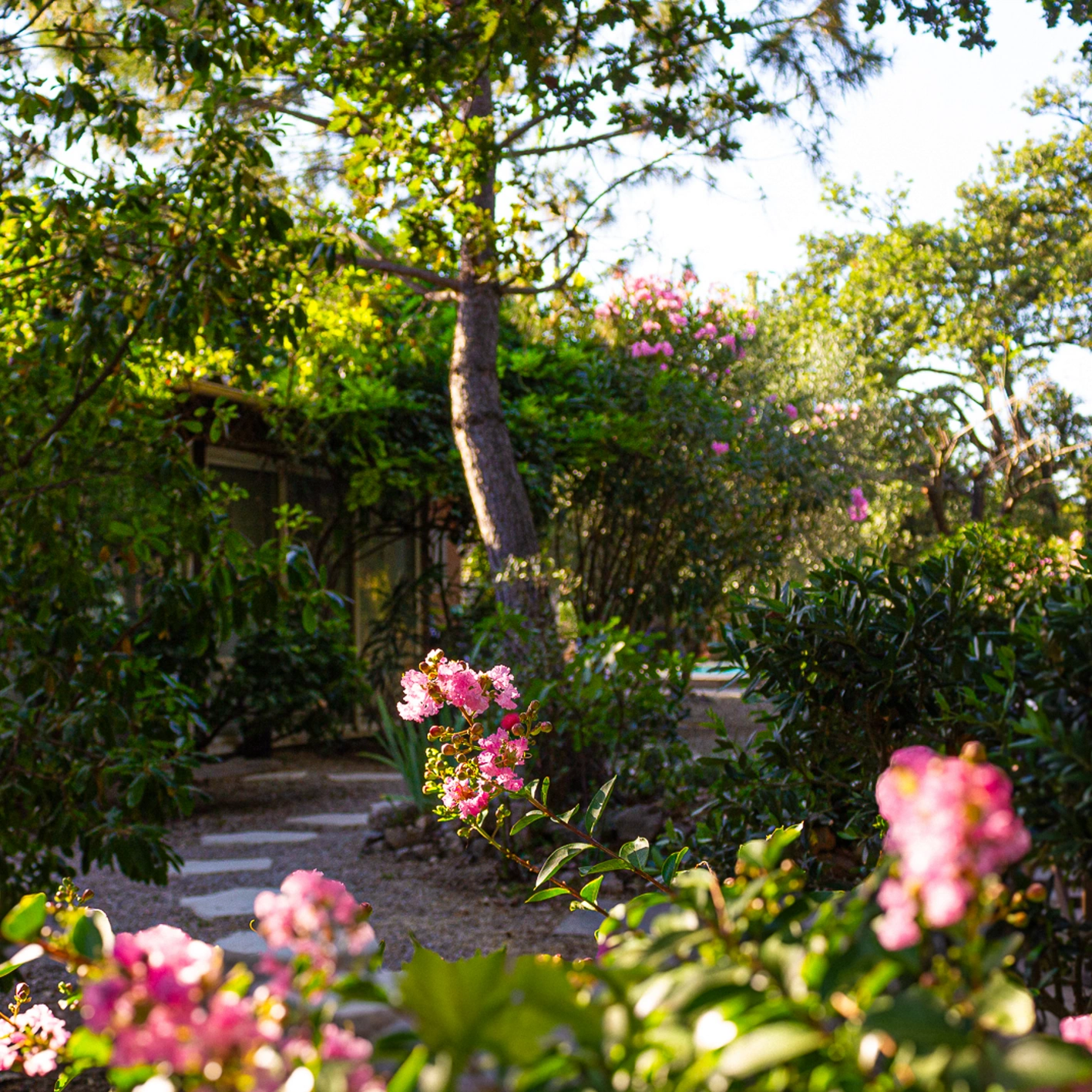 Galerie photos avant/après : nos aménagements paysagers déjà réalisés