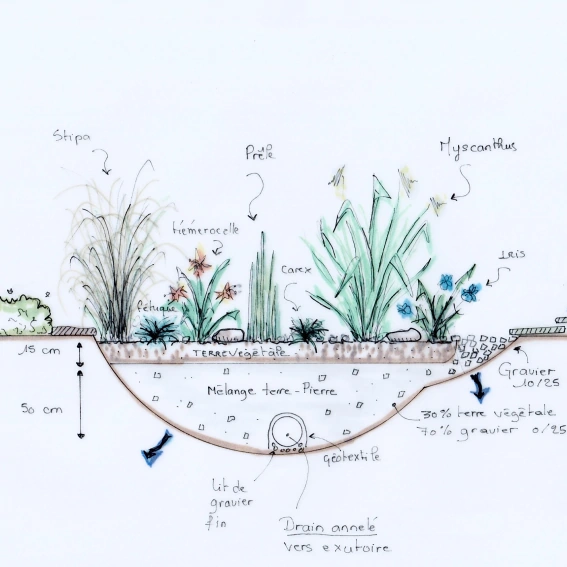 Croquis à la main d'un jardin de pluie facile