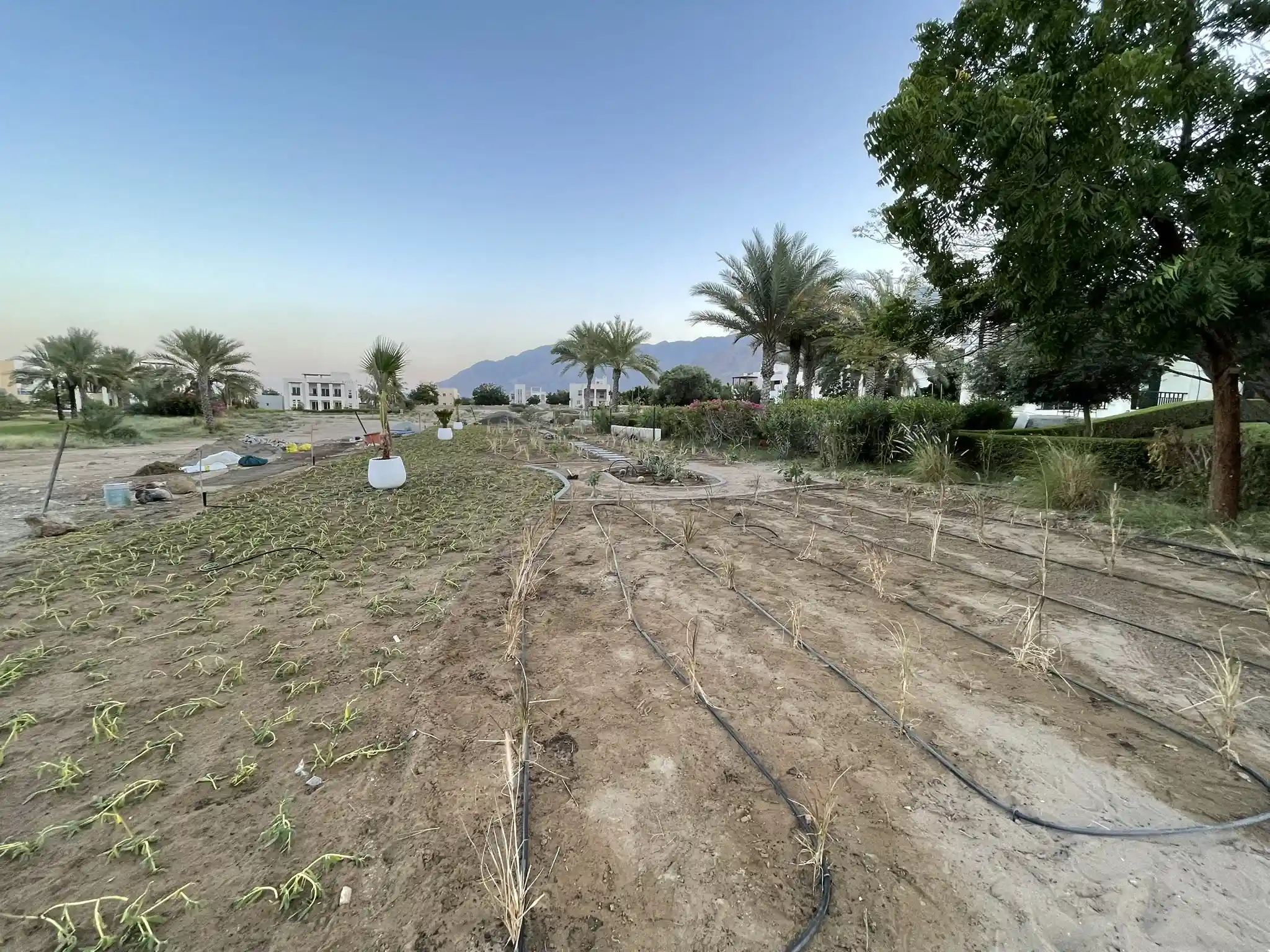 Galerie photos avant/après : nos aménagements paysagers déjà réalisés