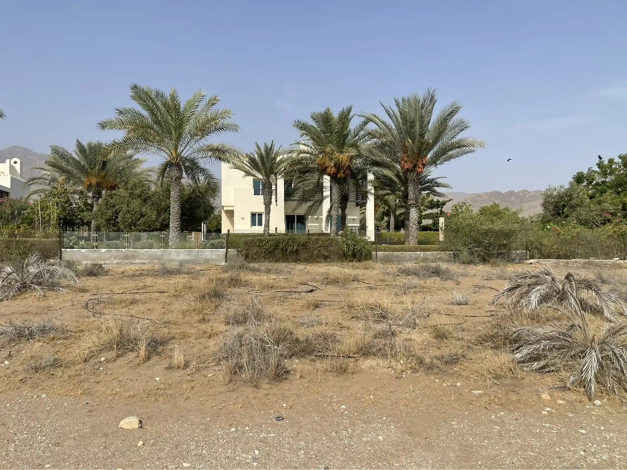 Galerie photos avant/après : nos aménagements paysagers déjà réalisés