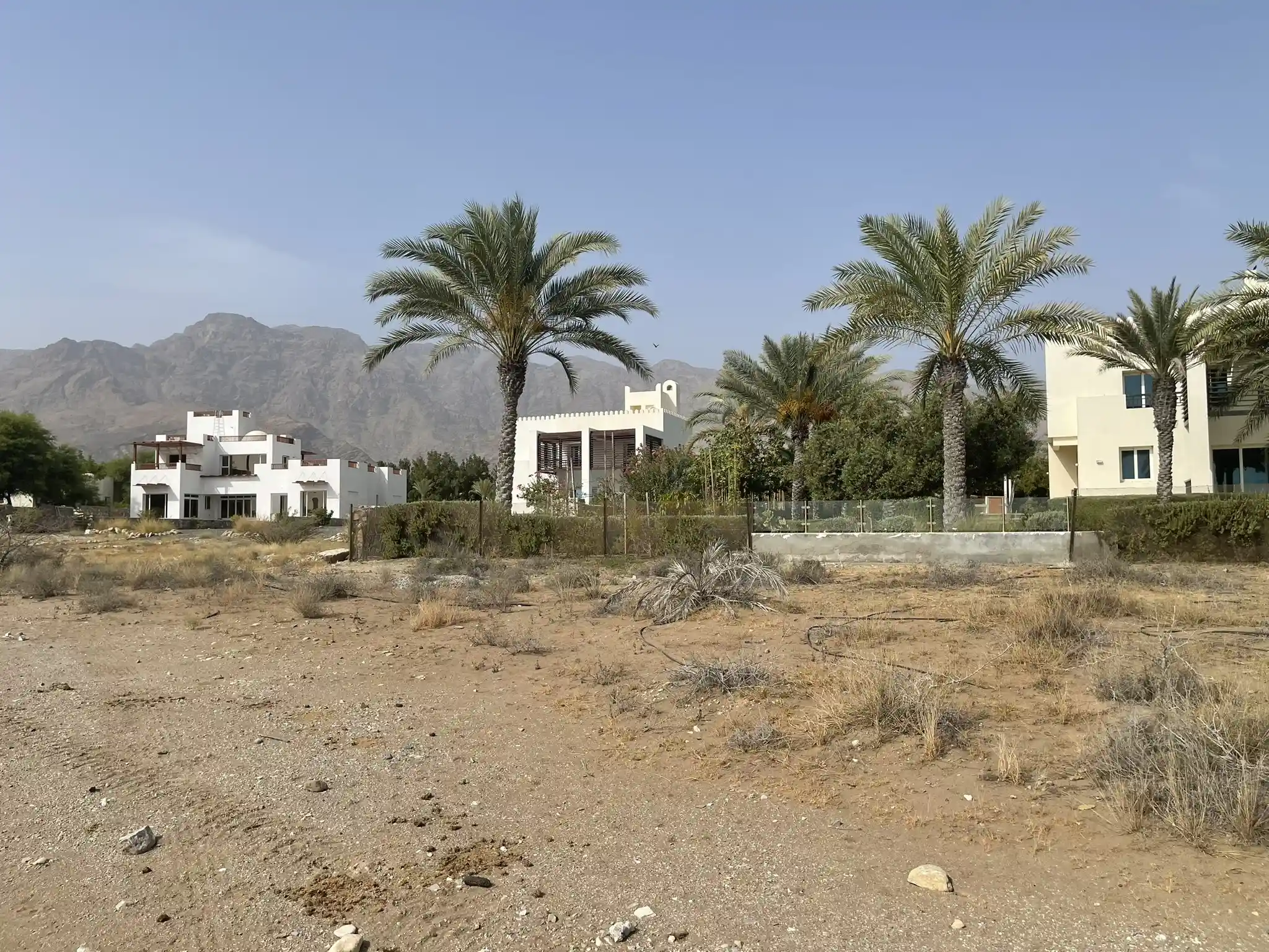 Galerie photos avant/après : nos aménagements paysagers déjà réalisés