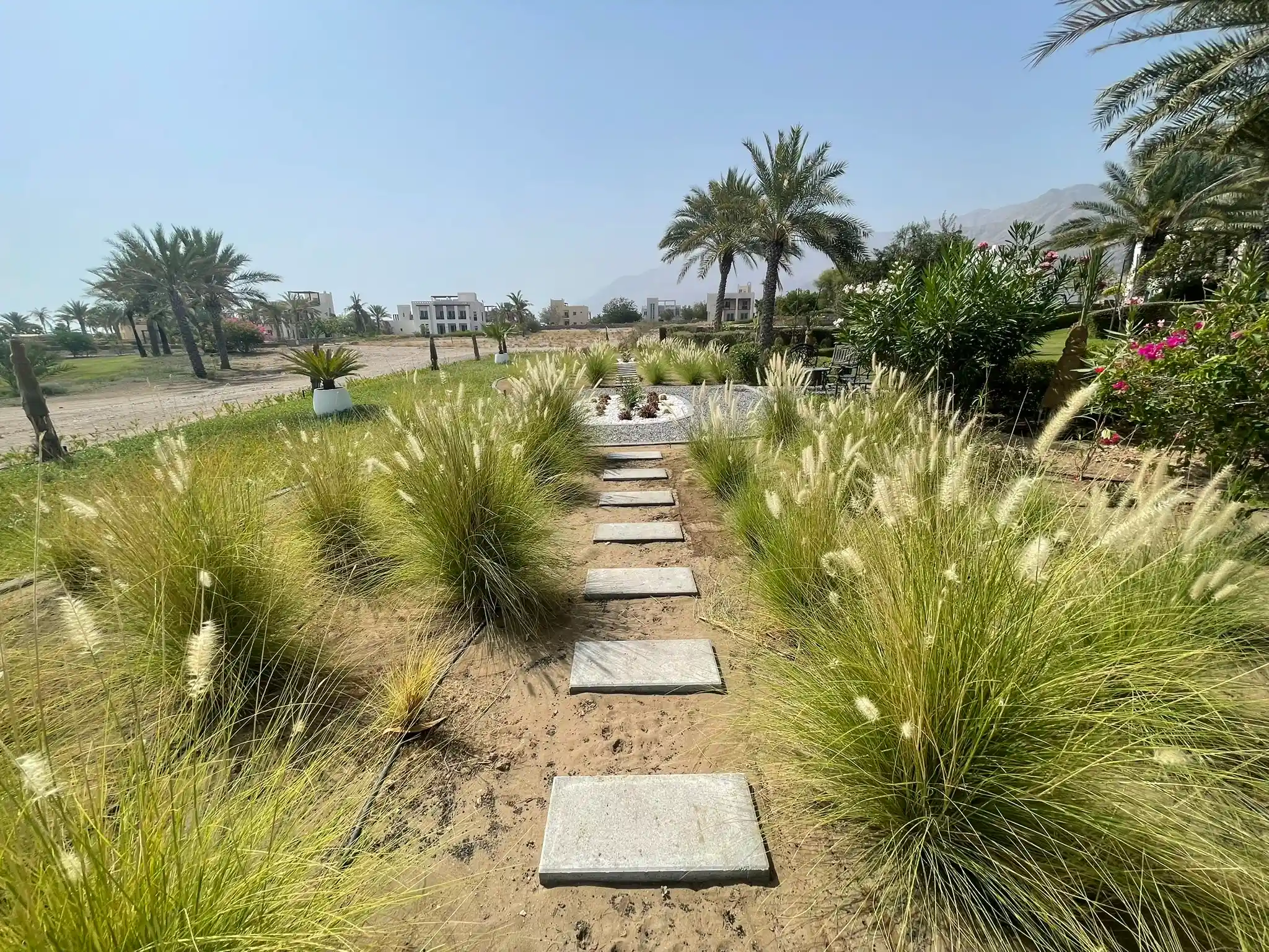 Galerie photos avant/après : nos aménagements paysagers déjà réalisés