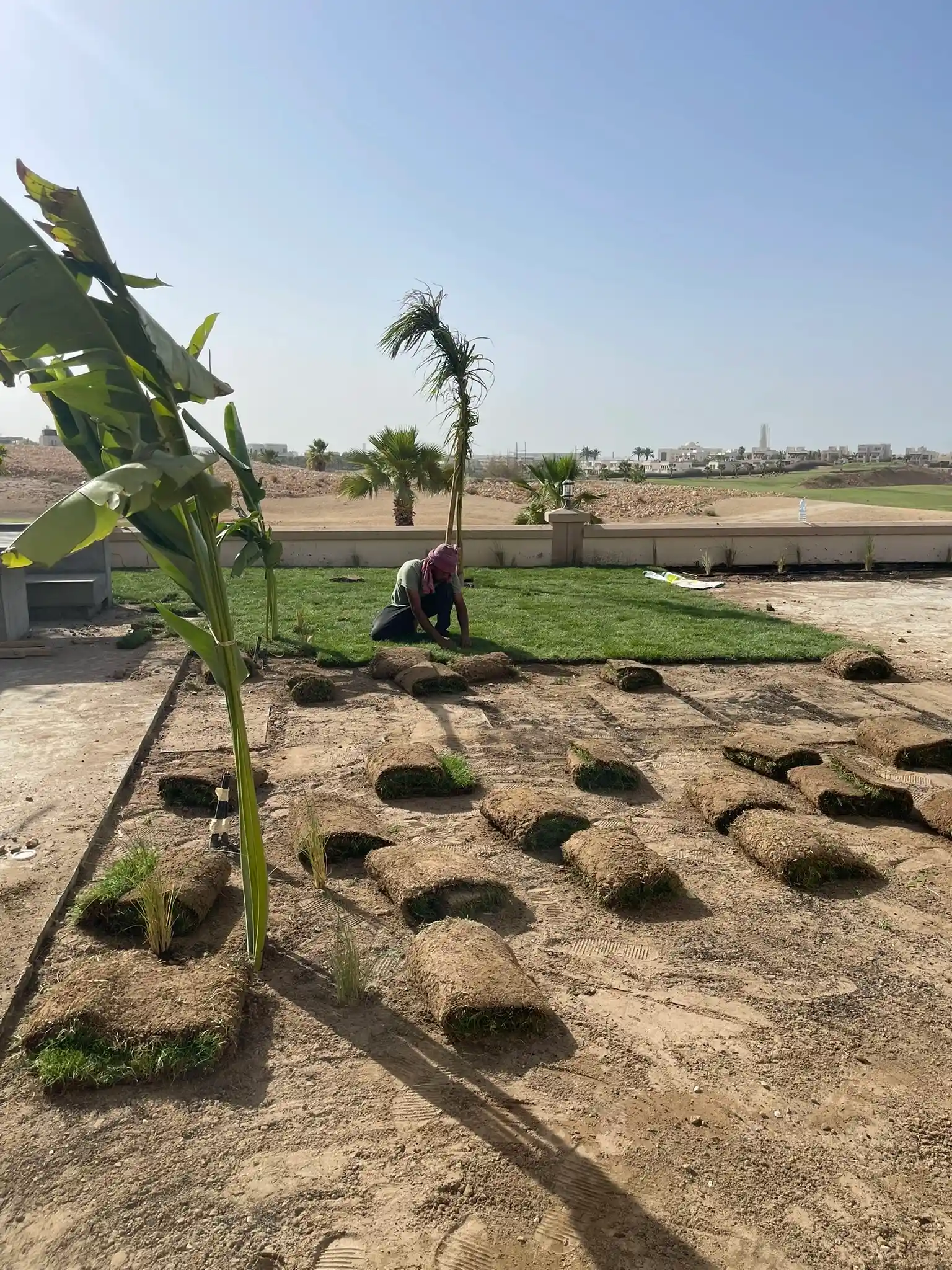 Galerie photos avant/après : nos aménagements paysagers déjà réalisés