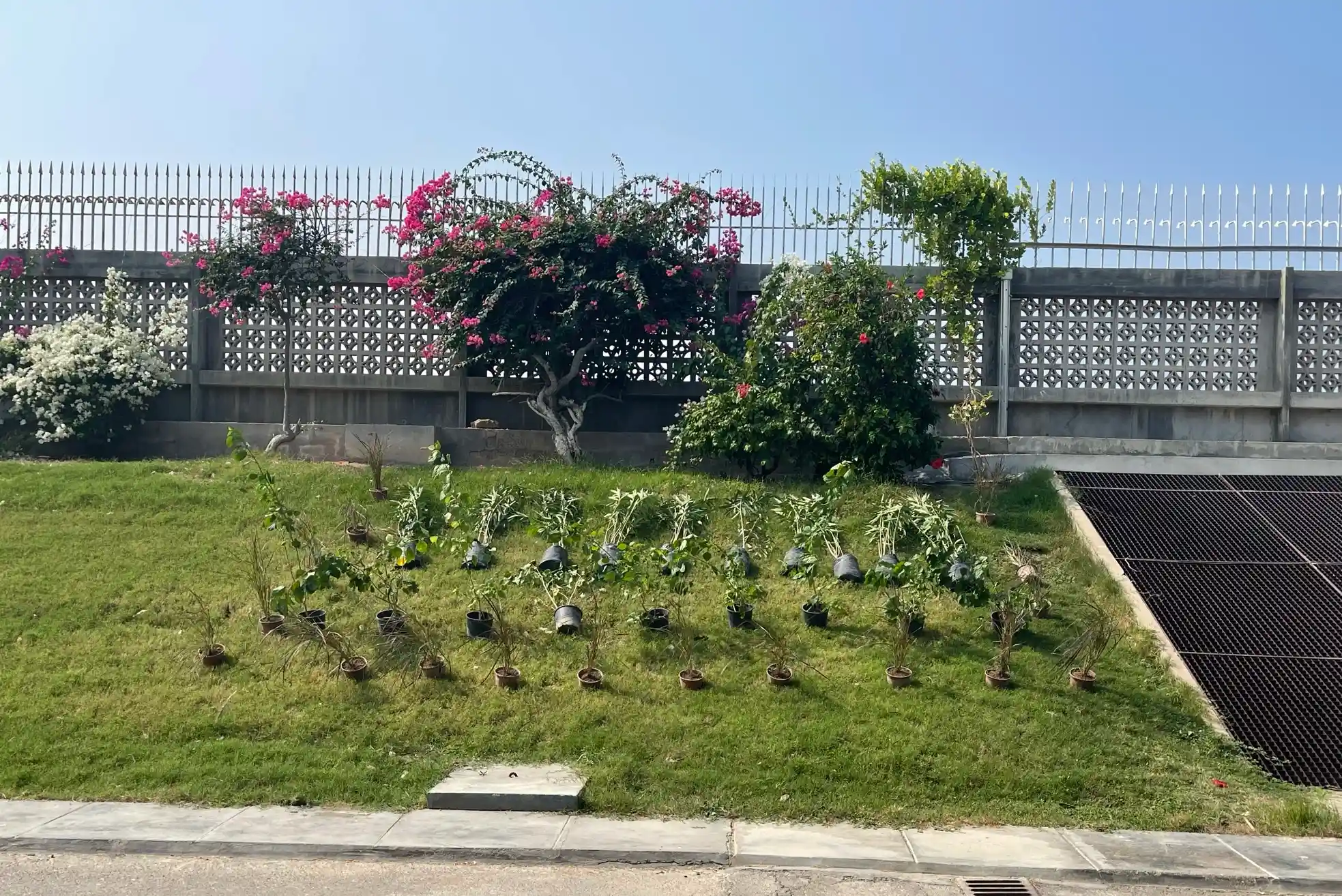Installation d'un massif de fleurs