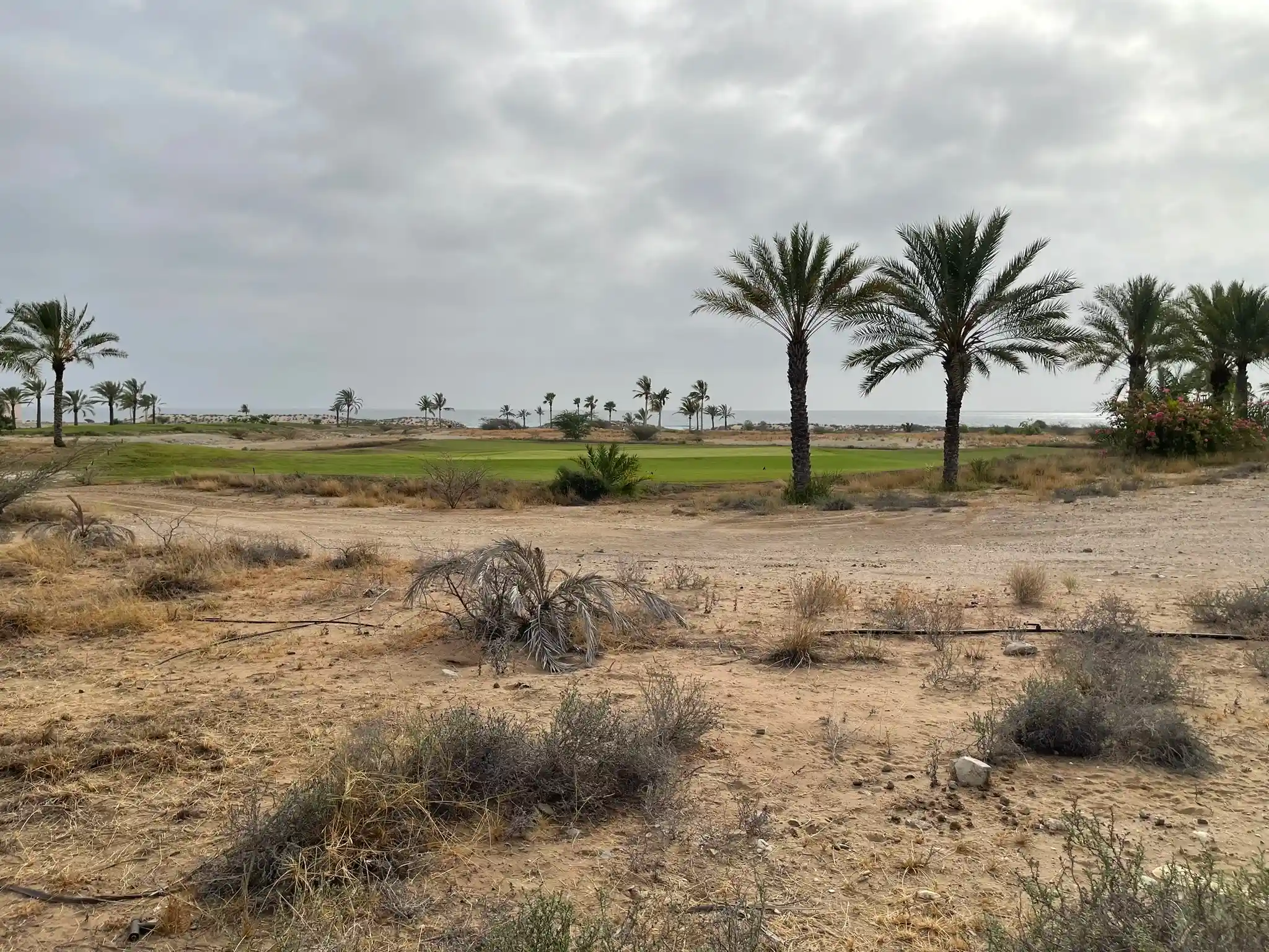 Galerie photos avant/après : nos aménagements paysagers déjà réalisés