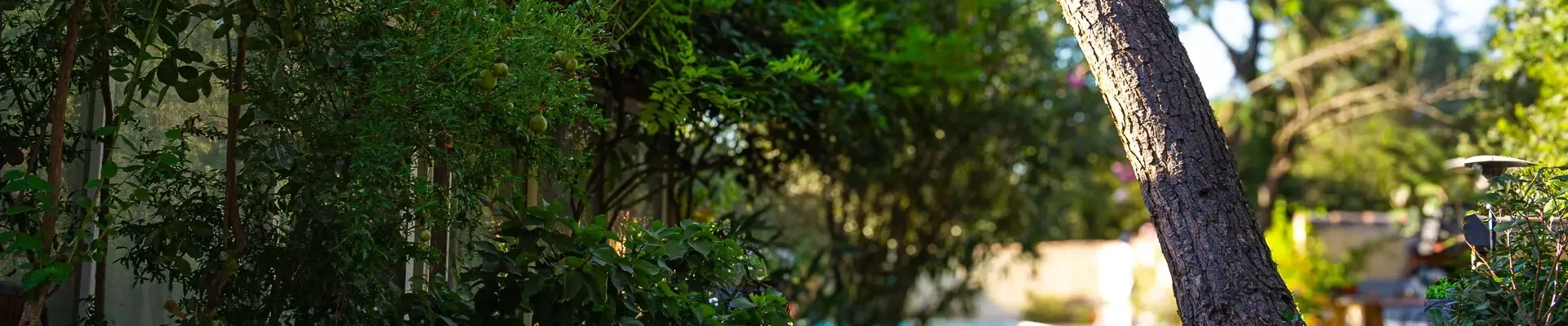 Paysagiste : conception paysagère sur mesure